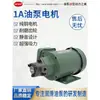 Bomba de Aceite para Engranajes Hidráulicos Bomba Ciclidal Eléctrica Bomba de Lubricación Motor ROP-11A12A13A Bomba de Motor Triangular