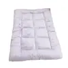 Esterilla para Dormir de Mascota Cuatro Estaciones Cama para Perro Tai Golden Retriever Perro Perro Grande Celebración de Internet Esterilla Doble Cara Disponible Perrera Perrera para Gatos Dormir