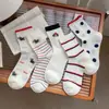 Calcetines de Malla Finos Transpirables de Verano para Mujer con Diseño de Cachorro de Dibujos Animados, Calcetines Casuales Rayados Estilo Ins para Mujer