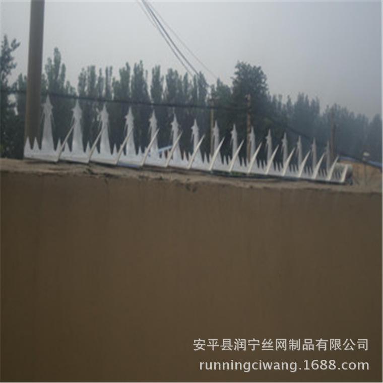 刺钉1