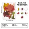 Espécimes de Plantas Folha Real Adesivos Artesanais para Jardim de Infância Flores Secas Flores Prensadas Espécimes de Plantas DIY Materiais para Pintura de Folhas