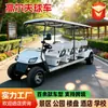 Fornecimento de comércio exterior de carrinhos de golfe, veículos elétricos de turismo para áreas cênicas e parques, shuttles de recepção de hotéis, carrinhos de golfe