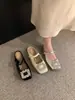 Sapatos Mary Jane Quadrados com Fivela de Strass Estilo Francês 2025 Primavera/Verão Novo Modelo Popular com Tira Única, Salto Grosso, Sapatos Baixos Estilo Fada