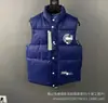 Colete de Ganso de Comércio Exterior Transfronteiriço para Homens e Mulheres, Colete Sem Mangas para Casal, Estilo Clássico, Jaqueta Quente Espessa de Inverno