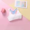Lingerie de Desenvolvimento Personalizada para Meninas, Camiseta de Algodão Puro de Segunda Etapa, Sem Aro, Lingerie Peça Única para Meninas, Sem Costura, Macia e Confortável