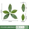 Accesorios de Hojas de Plantas Verdes Estilo Bosque Simuladas Materiales de Hojas Hechos a Mano DIY Hojas Decoración para Caja de Regalo de Frutas Frescas
