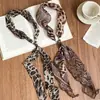 Collar de Halter con Estampado de Leopardo y Serpiente en Chifón y Resina Otoño e Invierno Retro Cadena para Suéter Maillard Collar de Diseño Nicho para Mujeres