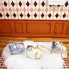 Pingente Fofo de Bola de Pelo de Gato, Chaveiro Transparente Gashapon para Armazenamento de Pelo de Animal de Estimação, Pingente de Bolsa de Aparência Sofisticada para Comemoração