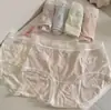 Novo Estilo Cintura Média Renda Vazada Lingerie Infantil Atacado Antibacteriana Sem Costura Macia Confortável Lingerie Sexy Feminina