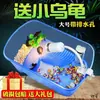 Caixa de reprodução para tartarugas caixa de tartaruga Pote do Rei gaiola pequena tartaruga tartaruga bonsai com mesa de secagem