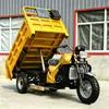 Motocicleta de tres ruedas a gasolina Golden Lion transfronteriza con volquete para carga, triciclo de alta resistencia, modelo más vendido para exportación a África