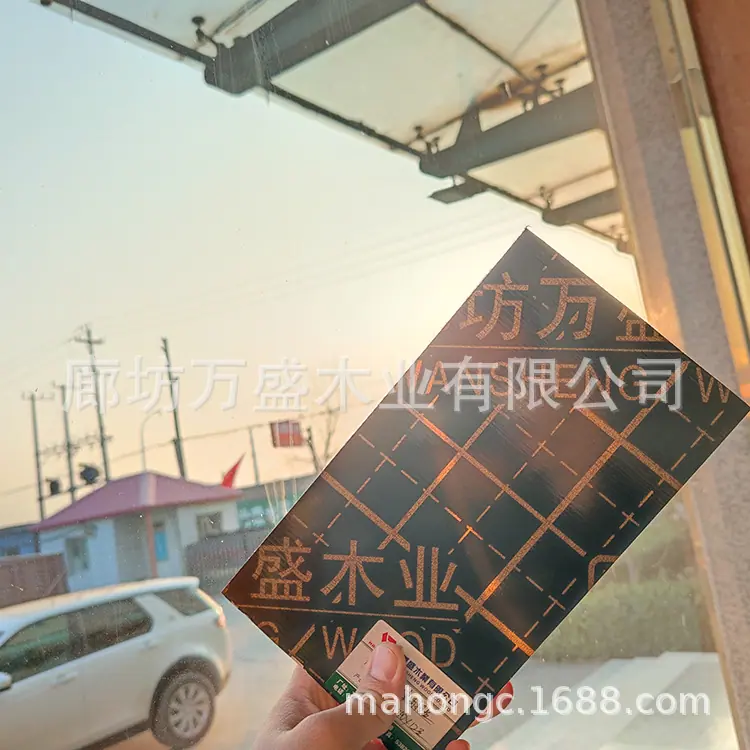 mmexport1606637518341.jpg