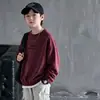 Ropa para niños Huzhou Zhili sudadera para niños 2026 otoño nuevo top de manga larga para niños ropa para bebé niño primavera y otoño
