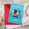 Compra directa transfronteriza de tarjetas de felicitación de feliz cumpleaños con sobres, tarjetas lindas y divertidas para enviar bendiciones y mensajes, tarjetas de regalo