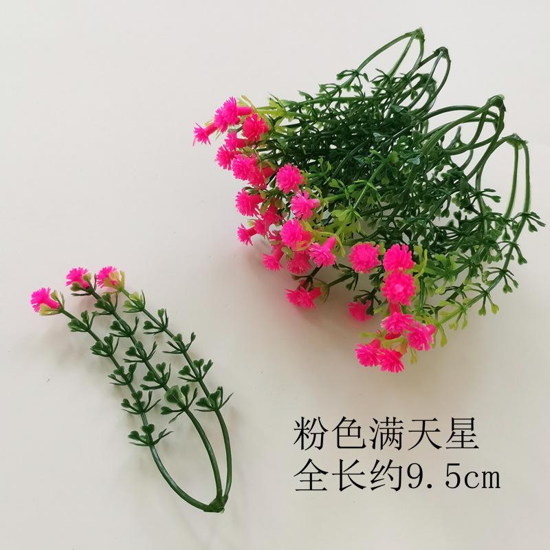 【粉色】.jpg