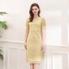 Vestido de Encaje de Moda de Verano para Mujer, de Alta Gama y Elegante para Ir al Trabajo, Adelgazante y Reductor de Edad, Vestido Hot
