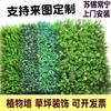 Pared de plantas verdes, decoración de pared de plantas, césped artificial de plástico, fondo de pared de flores, colgante de pared, césped para balcón interior
