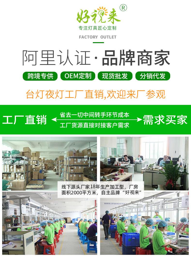 18年 好视来 实力工厂