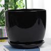 Vaso de flor cerâmica grande especial Nórdico criativo com prato casa interior verde orquídea vaso para bonsai atacado
