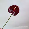 Flor artificial tamaño pequeño Anthurium sensación de mano única palma lanzallamas impresión 3D boda decoración del hogar flor flor artificial fabricantes