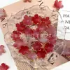 Acrílico Gelatina Borde Dorado Flor de Ciruelo Degradado Pétalos Hecho a Mano DIY Cadena para Teléfono Joyería Materiales para Ensartar Accesorios