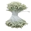Transfronterizo 2 mm Aproximadamente 400 Piezas 170 Centros de Flor Mate Núcleo de Flor Flor Artificial Estambres de Yeso Rosa Lirio Materiales