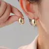 Pendientes Coreanos Brillantes de Gota de Agua Estilo Nuevo Simples de Gama Alta Diseño Estilo Frío Pendientes de Aguja de Plata 925 Venta al por Mayor