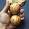 Pelota de Salud Taihang Thuja Pelota de Fitness Pelota de Transferencia de Salud con Cicatrices de Tumores y Ondas de Agua Pelota Sólida 4cm Estilos