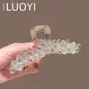 Pinza para el Cabello de Cristal de Moda y de Alta Gama, Pinza para el Cabello de Alta Gama para la Parte Posterior de la Cabeza, Pinza de Tiburón de Moda y Versátil