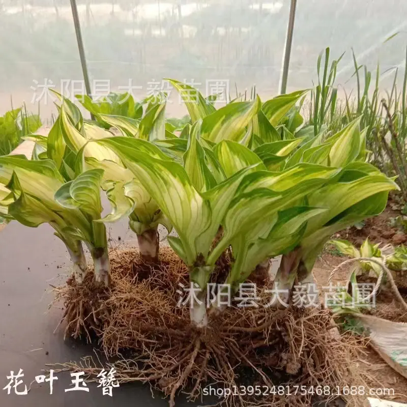 微信图片_20240501151052