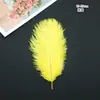 15-20cm pena de avestruz tingida pena de avestruz arranjo de flores de interior cor da pena