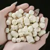Suministrado directamente por el fabricante: Colección de Tallas de Frutas de Marfil, Cabeza de León, Cuentas Sueltas Pixiu, Colgantes, Accesorios para Joyería Semi-Terminados DIY