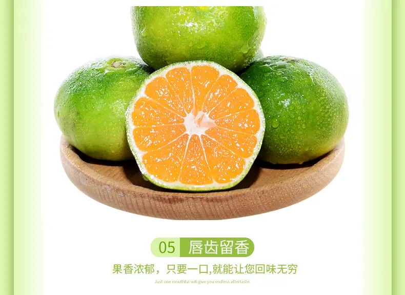 湖北宜昌蜜桔详情图4