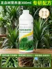 Solución Nutritiva Especial para Dracaena Sanderiana para Tratar Hojas Amarillas en Árbol Barba de Dragón, Fertilizante Inorgánico de Uso General para Plantas Verdes de Sala de Estar