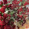 Simulação verde de bolinha de cebola pequena nova 7 bolinhas de cebolinha branca vermelha casamento decoração de paisagem macia flor artificial atacado