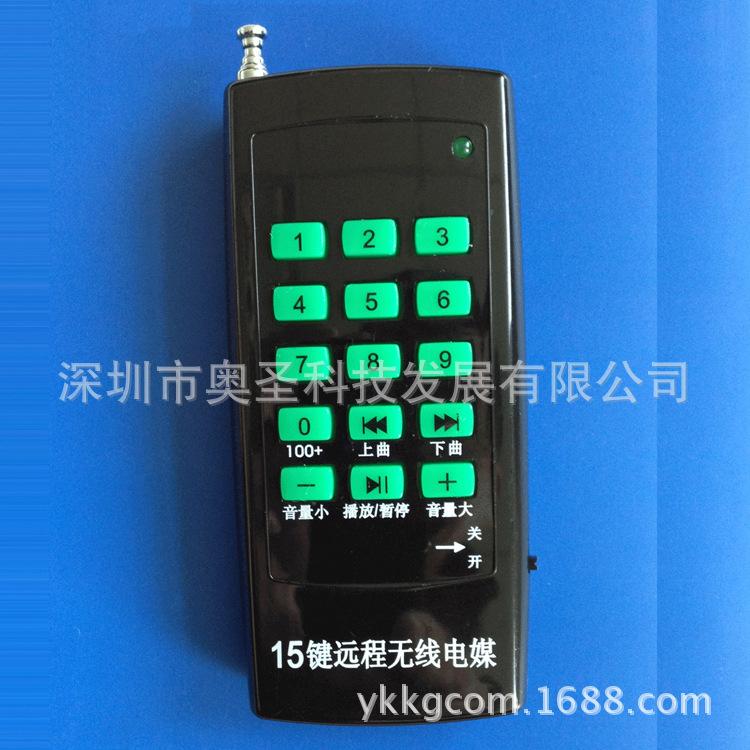 AU1000-15F大十五键遥控器1