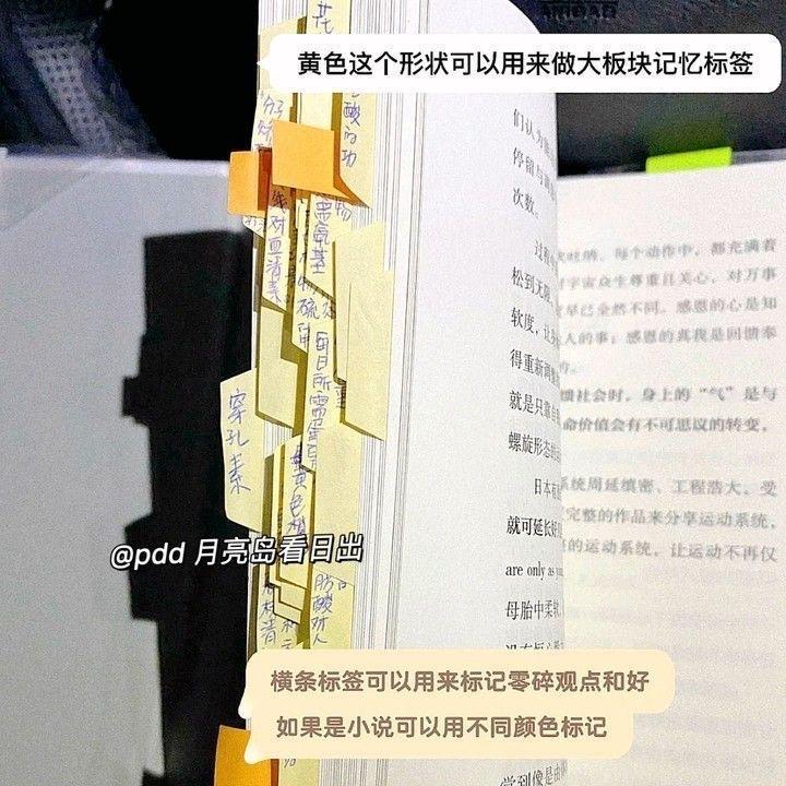 6999A60FA50F5C8F9FA85455505AEB