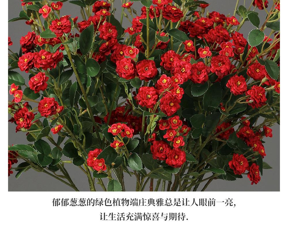 工厂描述_11.jpg