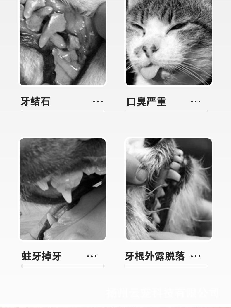 详情页_04.jpg