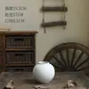 Vaso Cerâmico Estilo Wabi-Sabi de Jingdezhen, Minimalista de Luxo Leve para Sala de Estar Hall de Entrada Jarro de Cerâmica Decorativo para Flores Secas Hidropônicas com Frete Grátis