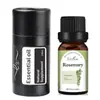 Aceite Esencial para Velas Soluble en Aceite, Aceite Esencial Único a Base de Planta de Rosa, Humidificador, Máquina de Aromaterapia, Fragancia de Lavanda para Coche