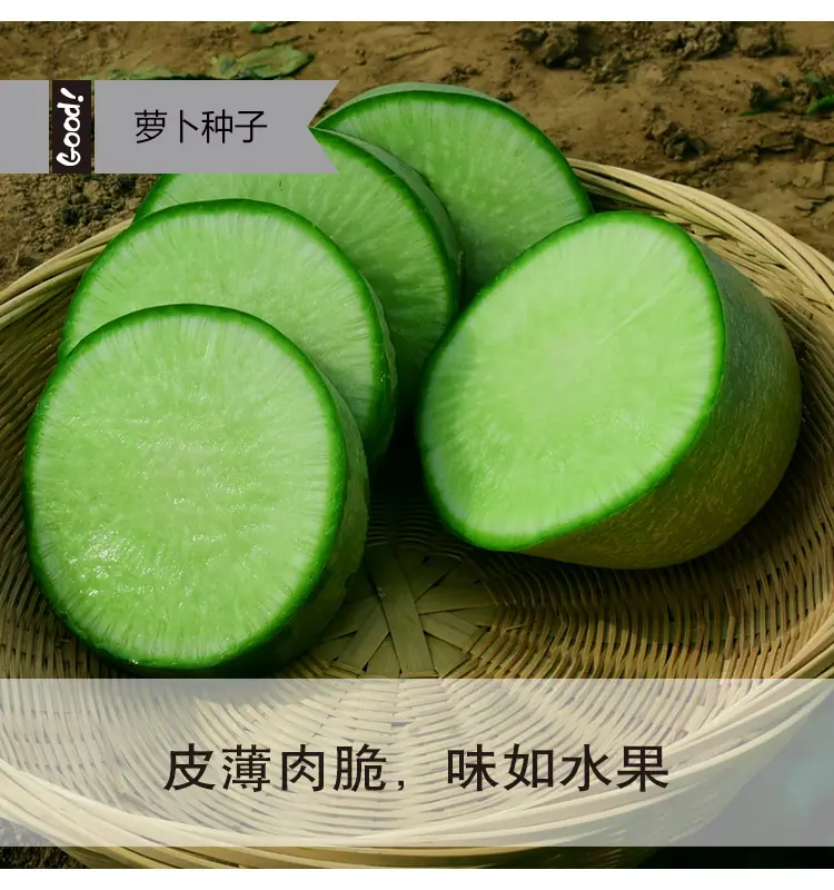 翠玉水果萝卜03-4
