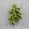 Venta Directa Transfronteriza de Plantas Verdes Artificiales, Decoración para el Hogar, Paisajismo de Hoteles, Decoraciones con Plantas Verdes para Celebraciones de Bodas y Materiales Florales