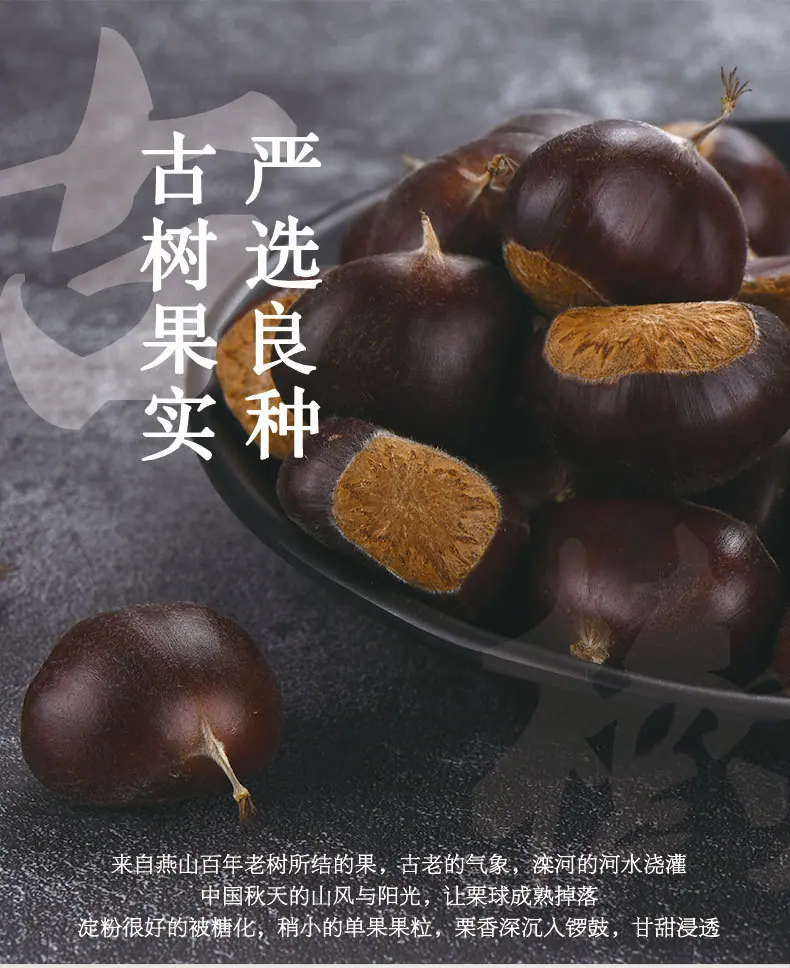 新老树_06.jpg