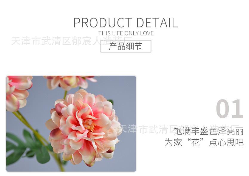 详情_08.jpg