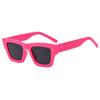 Gafas de sol negras Yang Zi del mismo estilo para mujer 2025, nuevas gafas de sol Sense Ins de alta gama con protección solar UV para sesiones de fotos callejeras para hombres