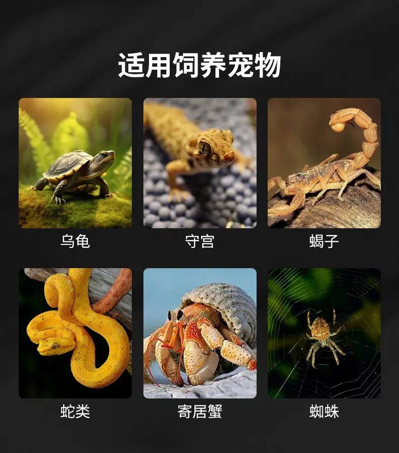 虫箱-详情_02.jpg