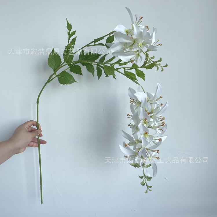 微信图片_202208241820233_副本