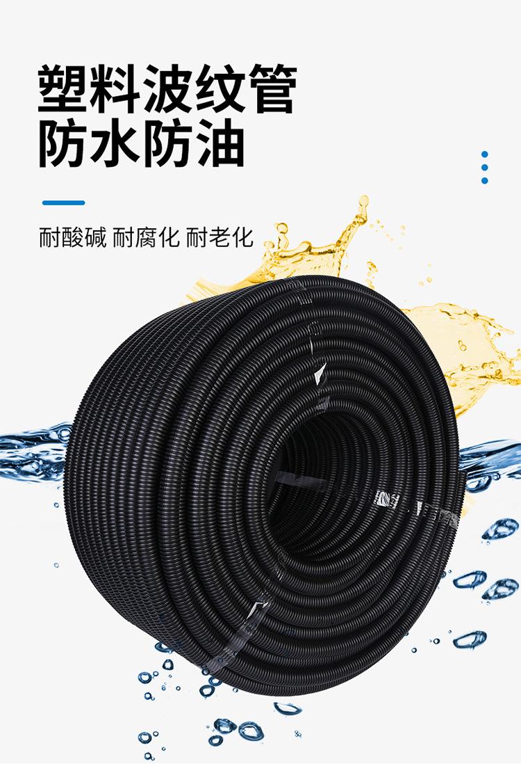 龙基_08.jpg
