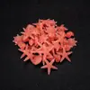 Pedra Oceânica Luminosa de 3cm Concha de Caracol Fluorescente Pedra para Paisagismo de Aquário Estrela do Mar Colorida Pedra para Aquário Ornamento Brilhante